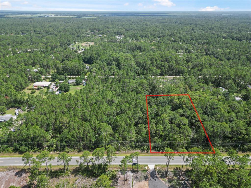 5875 Mahogany Boulevard Bunnell, FL 32110 - Photo 8 of 19 a view of a forest with a street and yard