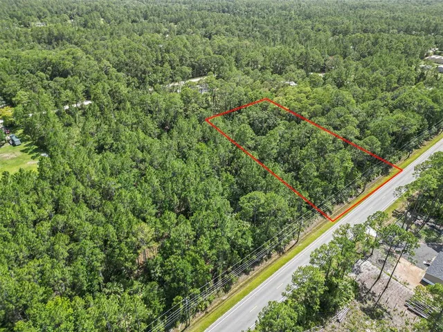 an aerial view of forest