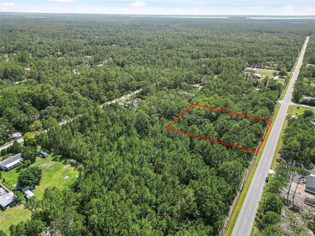5875 Mahogany Boulevard Bunnell, FL 32110 - Photo 10 of 19 an aerial view of forest