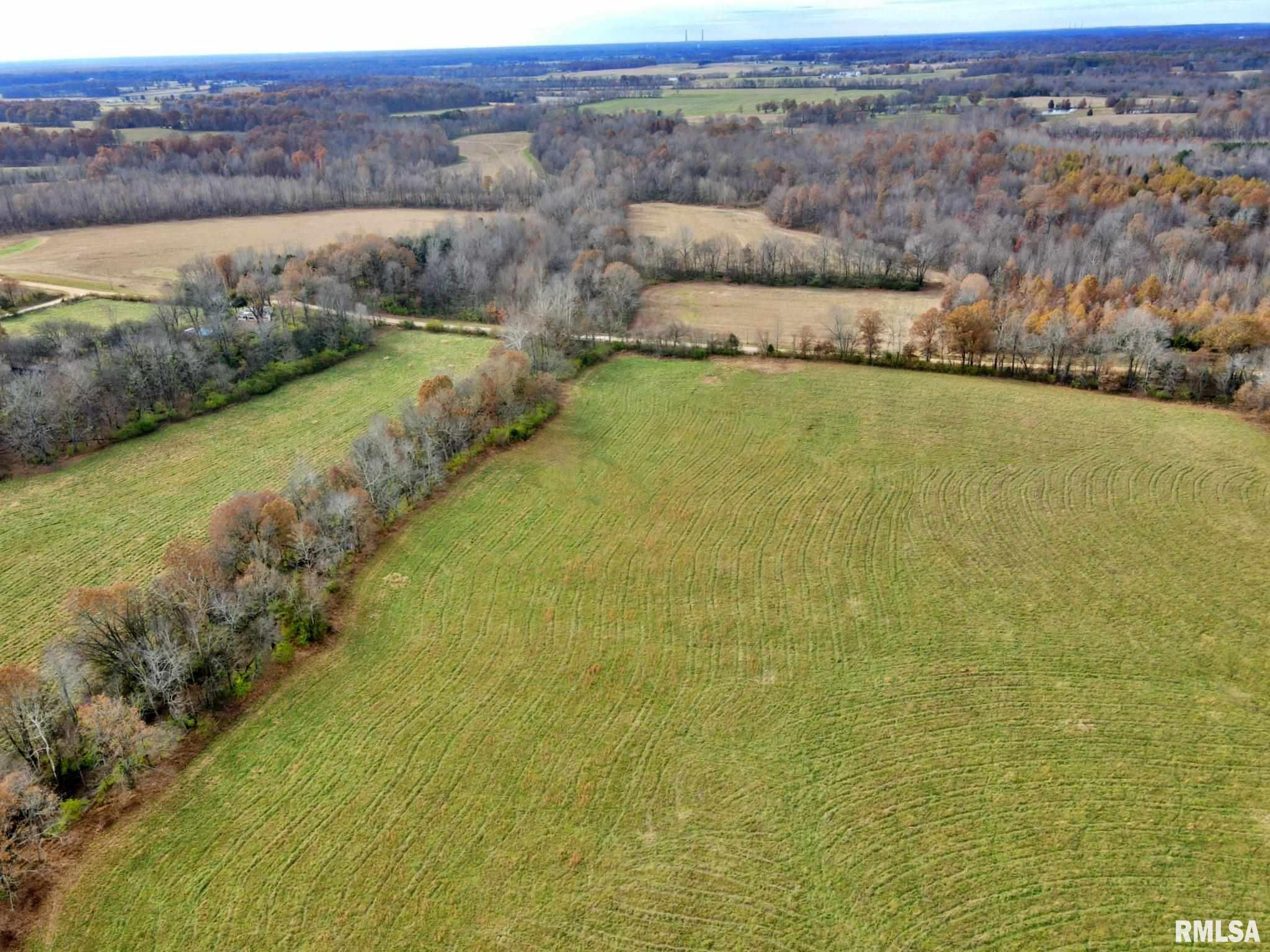 0 Mt Pleasant Road Brookport, IL 62910 - Photo 11 of 23