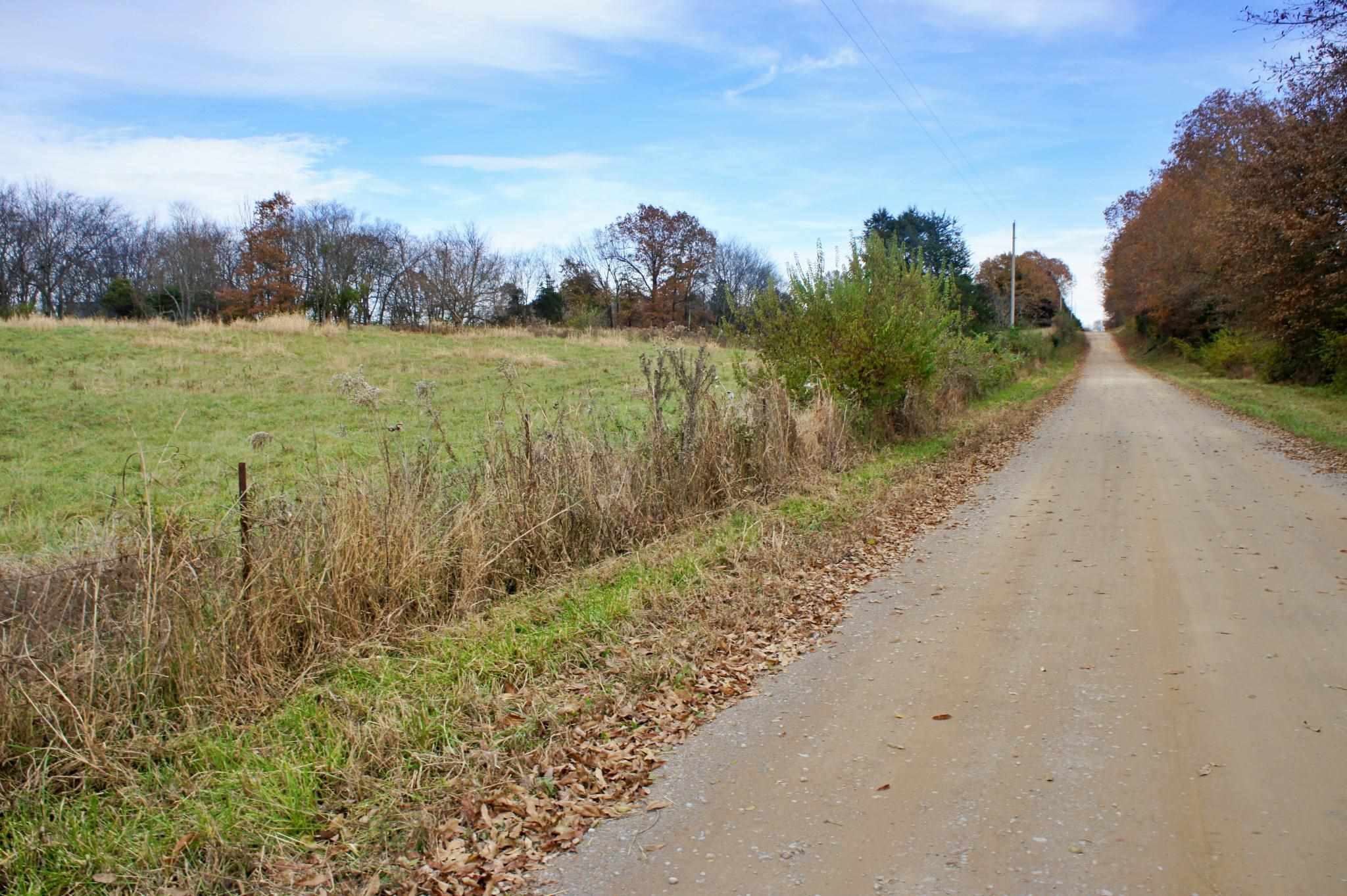 0 Mt Pleasant Road Brookport, IL 62910 - Photo 12 of 23
