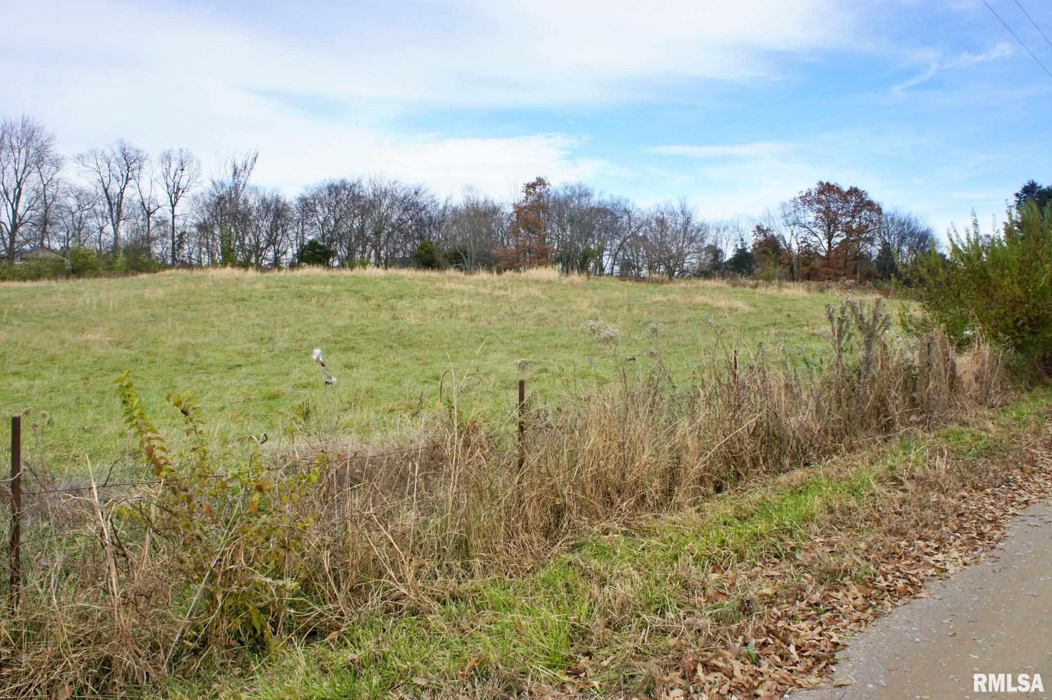 0 Mt Pleasant Road Brookport, IL 62910 - Photo 13 of 23