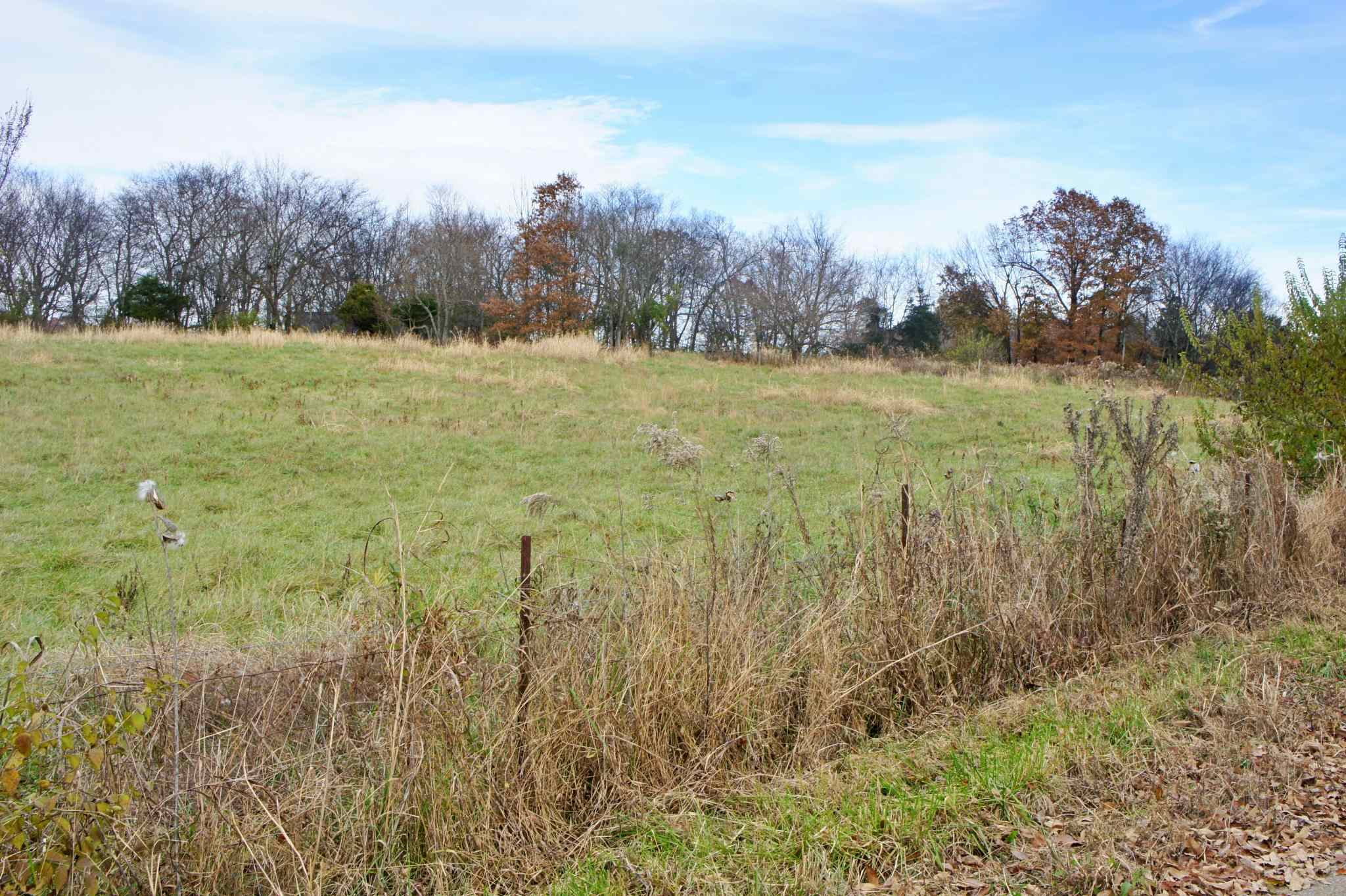 0 Mt Pleasant Road Brookport, IL 62910 - Photo 14 of 23