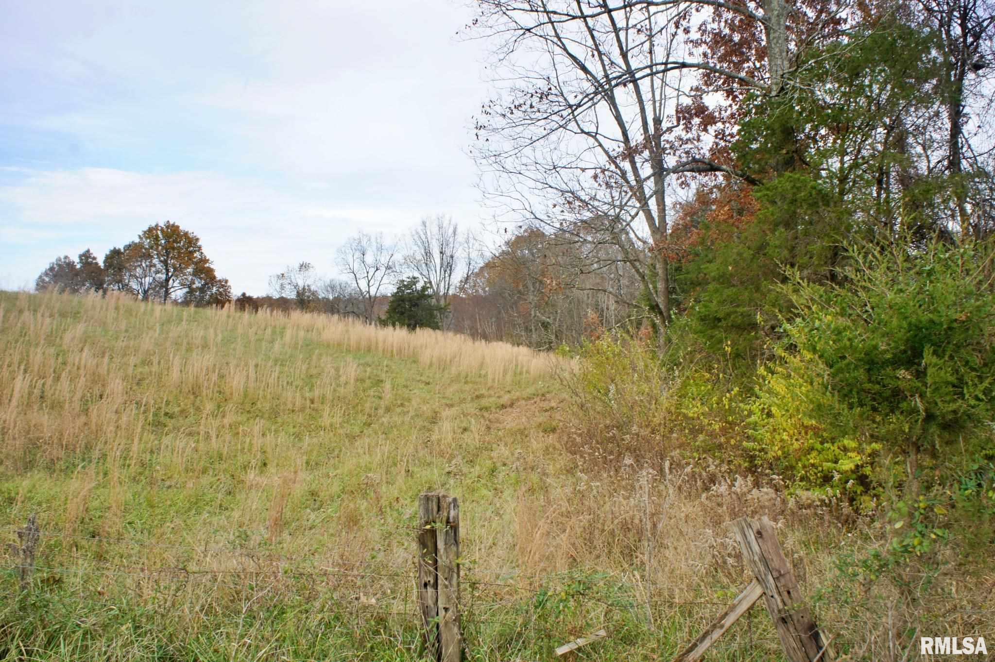 0 Mt Pleasant Road Brookport, IL 62910 - Photo 17 of 23