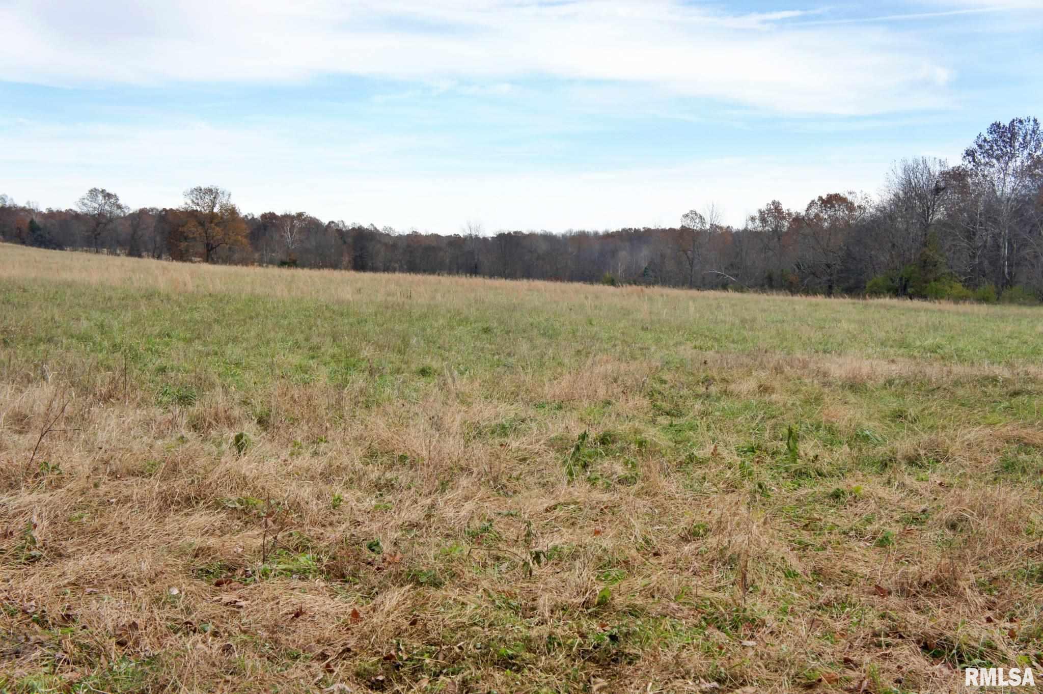0 Mt Pleasant Road Brookport, IL 62910 - Photo 22 of 23