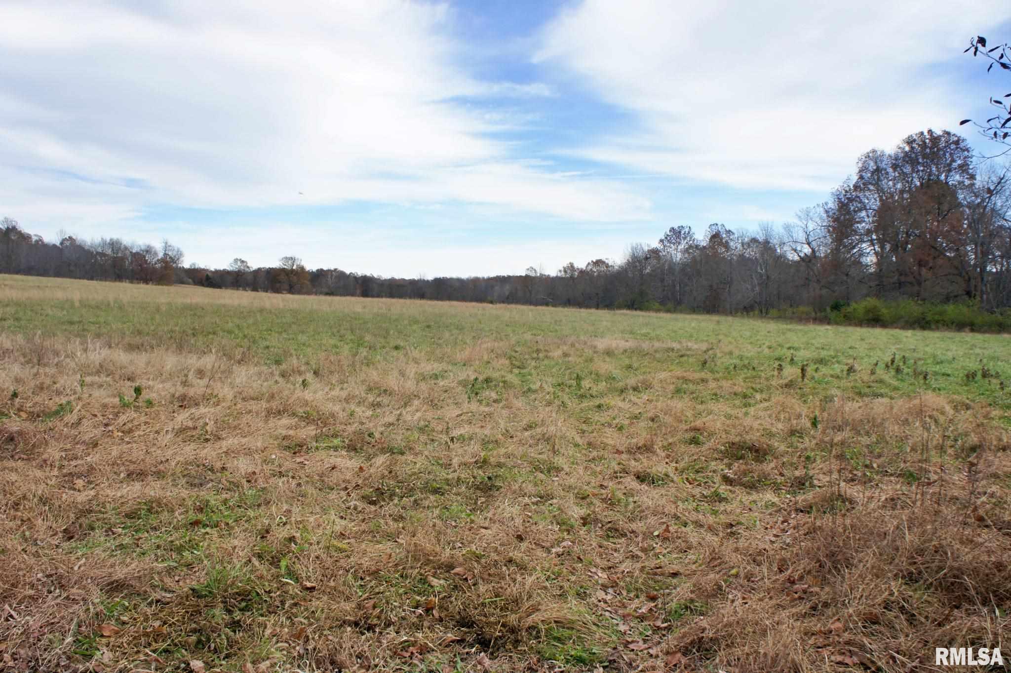 0 Mt Pleasant Road Brookport, IL 62910 - Photo 23 of 23