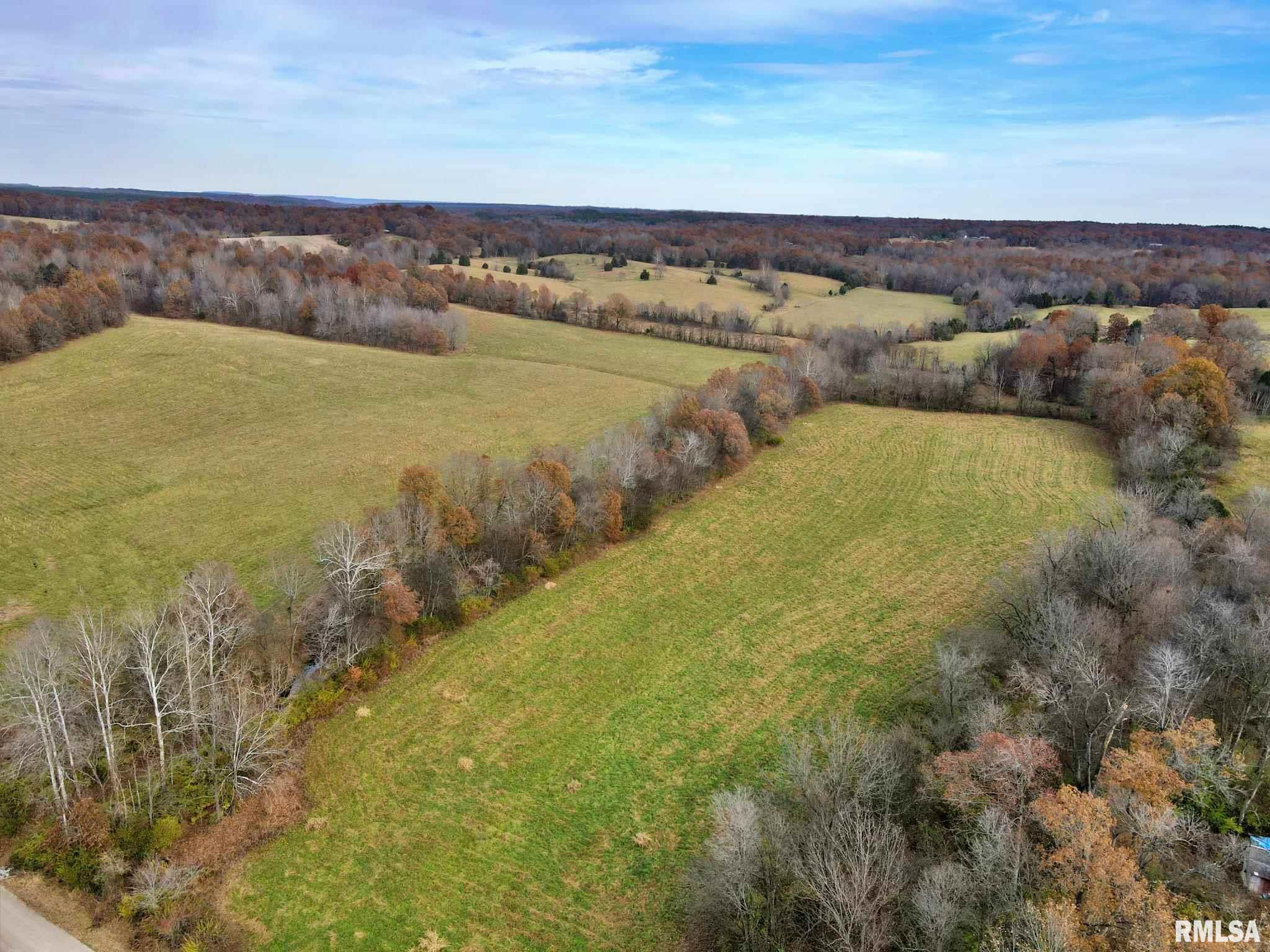 0 Mt Pleasant Road Brookport, IL 62910 - Photo 5 of 23