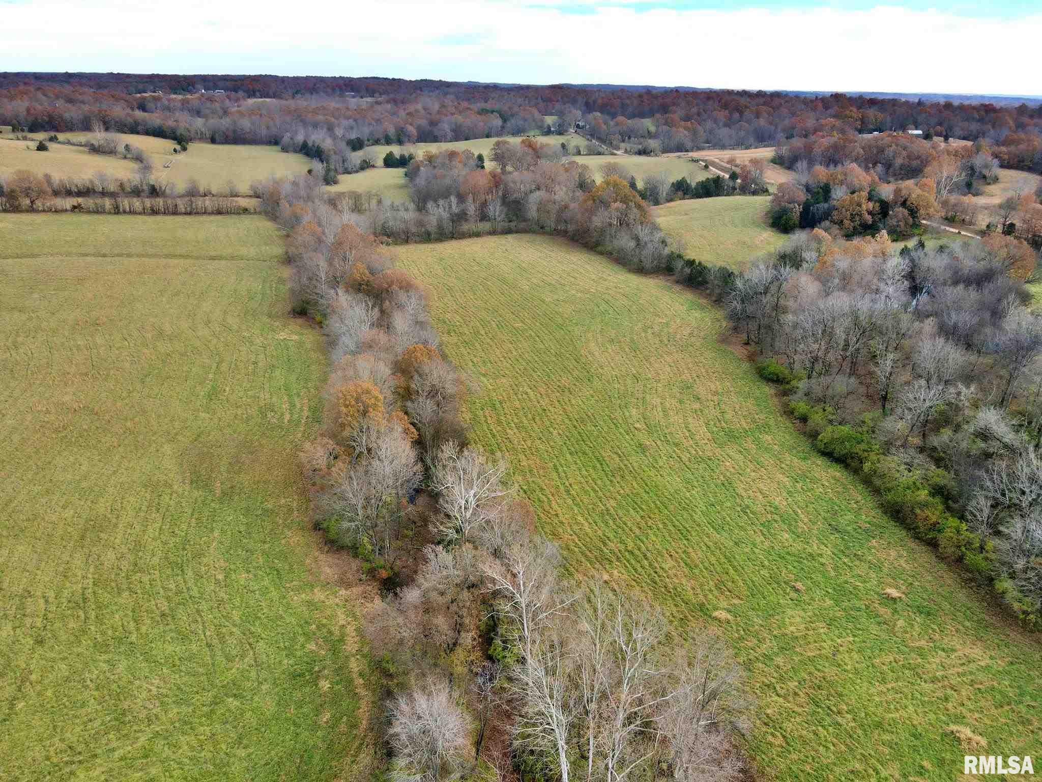 0 Mt Pleasant Road Brookport, IL 62910 - Photo 6 of 23
