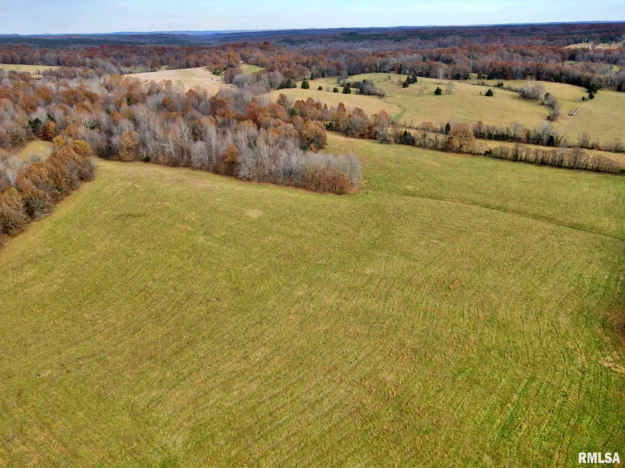 0 Mt Pleasant Road Brookport, IL 62910 - Photo 7 of 23