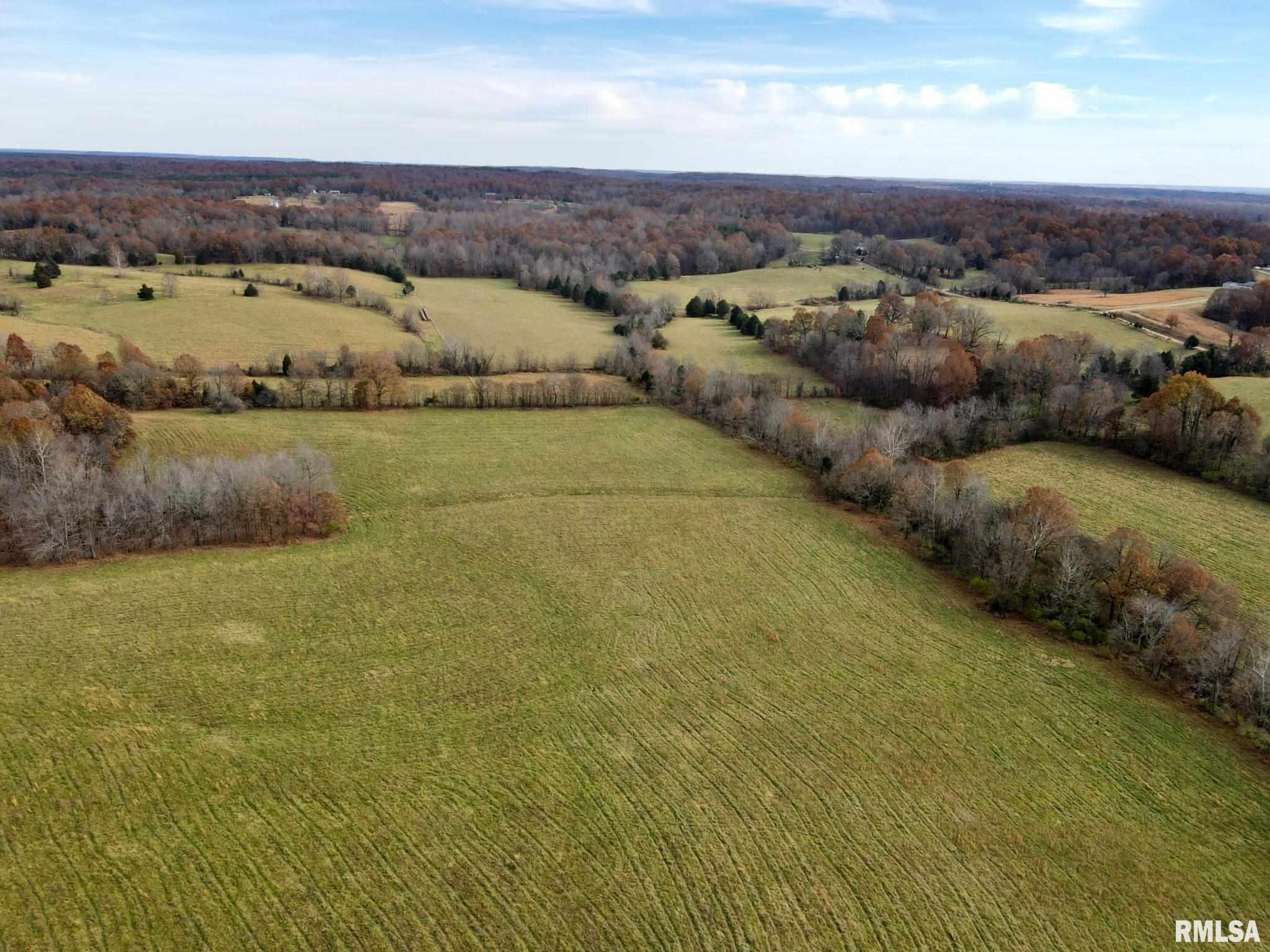 0 Mt Pleasant Road Brookport, IL 62910 - Photo 8 of 23