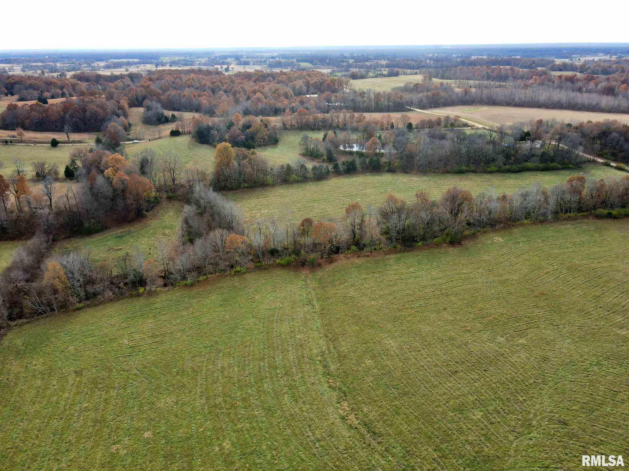 0 Mt Pleasant Road Brookport, IL 62910 - Photo 9 of 23