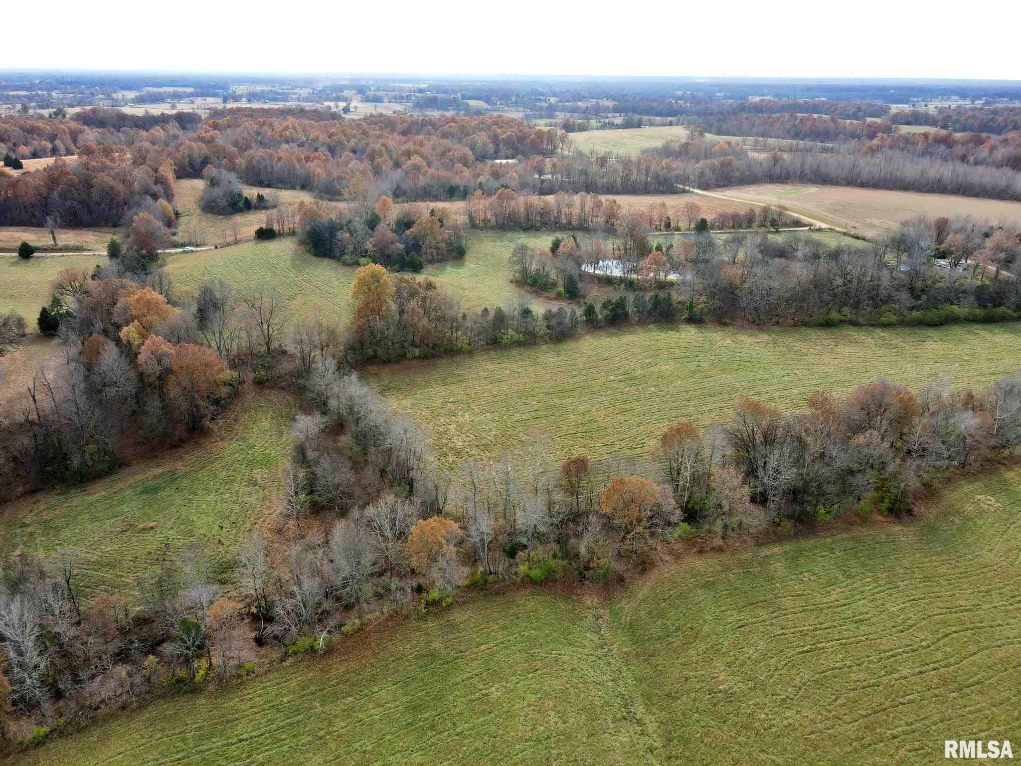 0 Mt Pleasant Road Brookport, IL 62910 - Photo 10 of 23