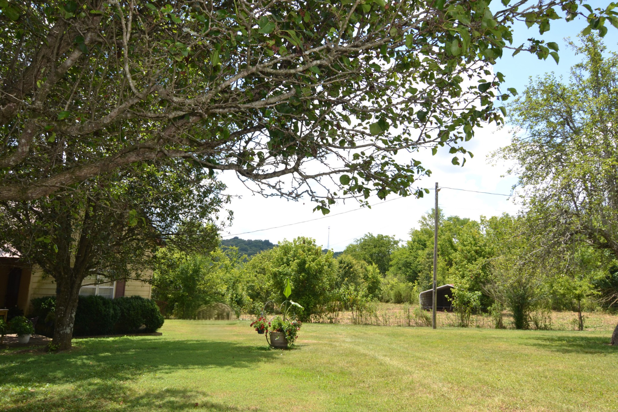 5616 Bunker Hill Road Pulaski, TN 38478 - Photo 17 of 56 a view of a park
