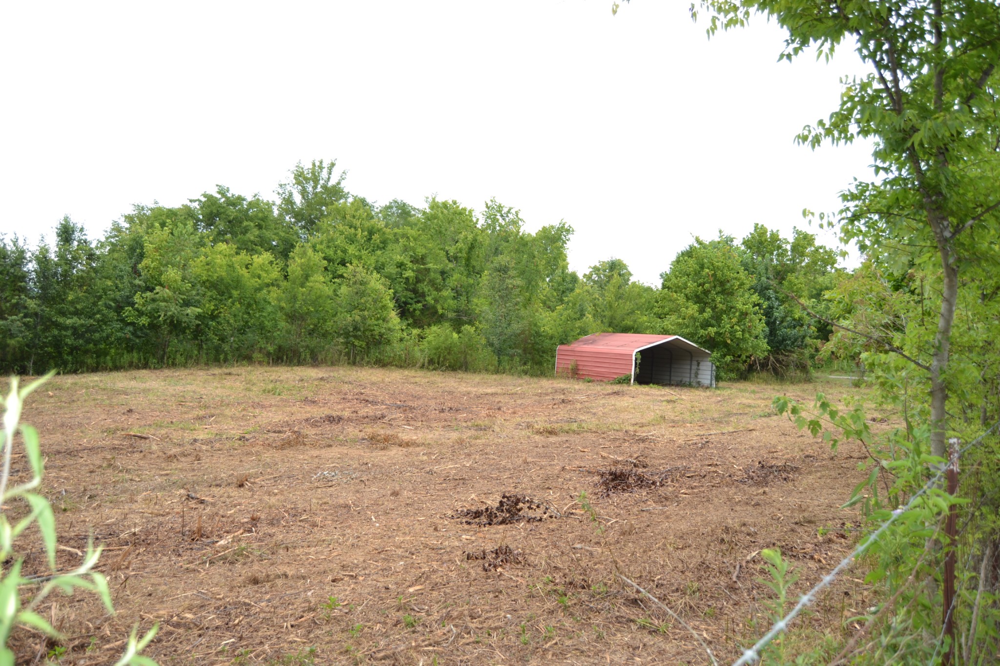 5616 Bunker Hill Road Pulaski, TN 38478 - Photo 54 of 56 a backyard of a house with a yard and large trees