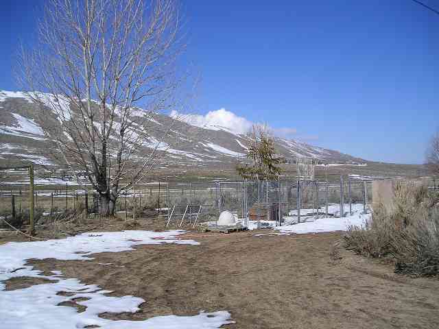 14805 Rancho Drive Reno, NV 89508 - Photo 3 of 9 Photo 3