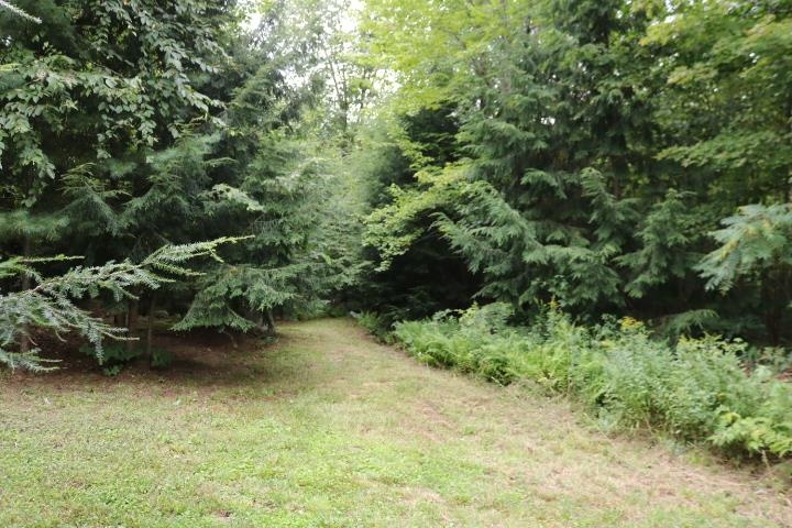 296 Lower Depot Road Marshfield, VT 05658 - Photo 26 of 28 Gallery Image 26