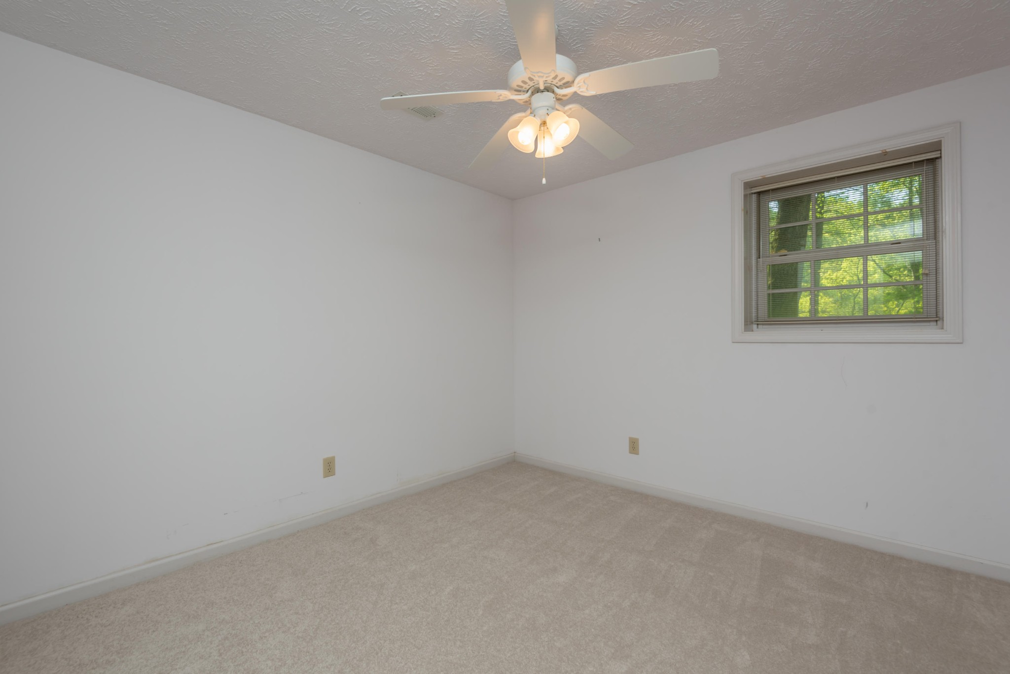 309 Slate Quarry Point Road Townsend, TN 37882 - Photo 22 of 39 Gallery Image 22