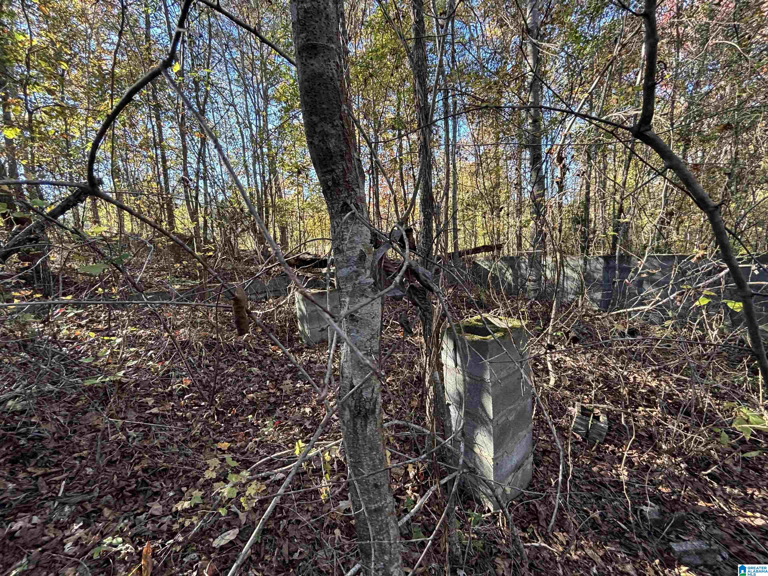 0 Waldrop Road, Unit 10 82 ACRES Ashville, AL 35953 - Photo 21 of 22