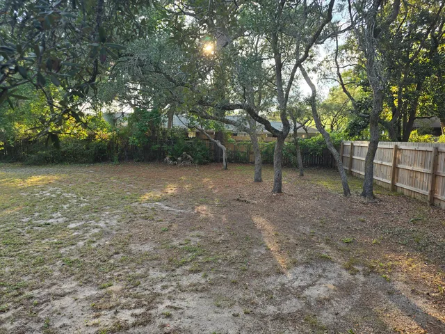 a view of a backyard with trees