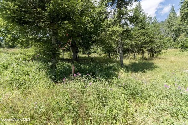 $260,000 | Nka Nka Enchanted Forest, Hope, ID 83836