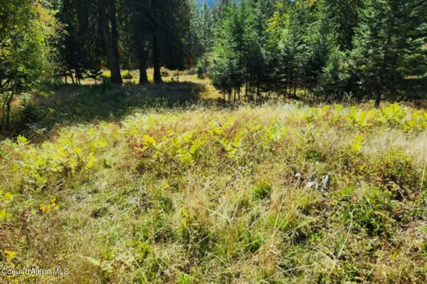 $260,000 | Nka Nka Enchanted Forest, Hope, ID 83836