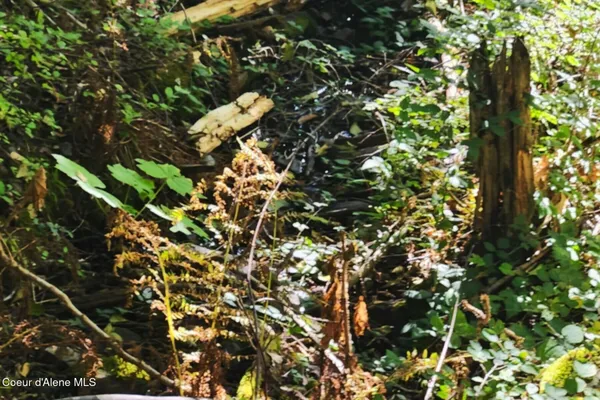 $260,000 | Nka Nka Enchanted Forest, Hope, ID 83836