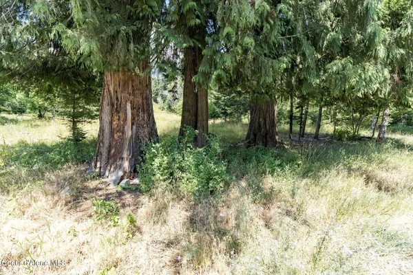 $260,000 | Nka Nka Enchanted Forest, Hope, ID 83836