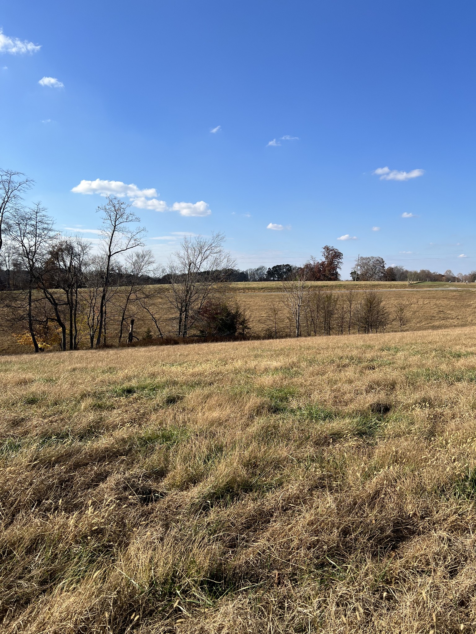 0 Sunrise Road Red Boiling Springs, TN 37150 - Photo 2 of 3 a view of ocean