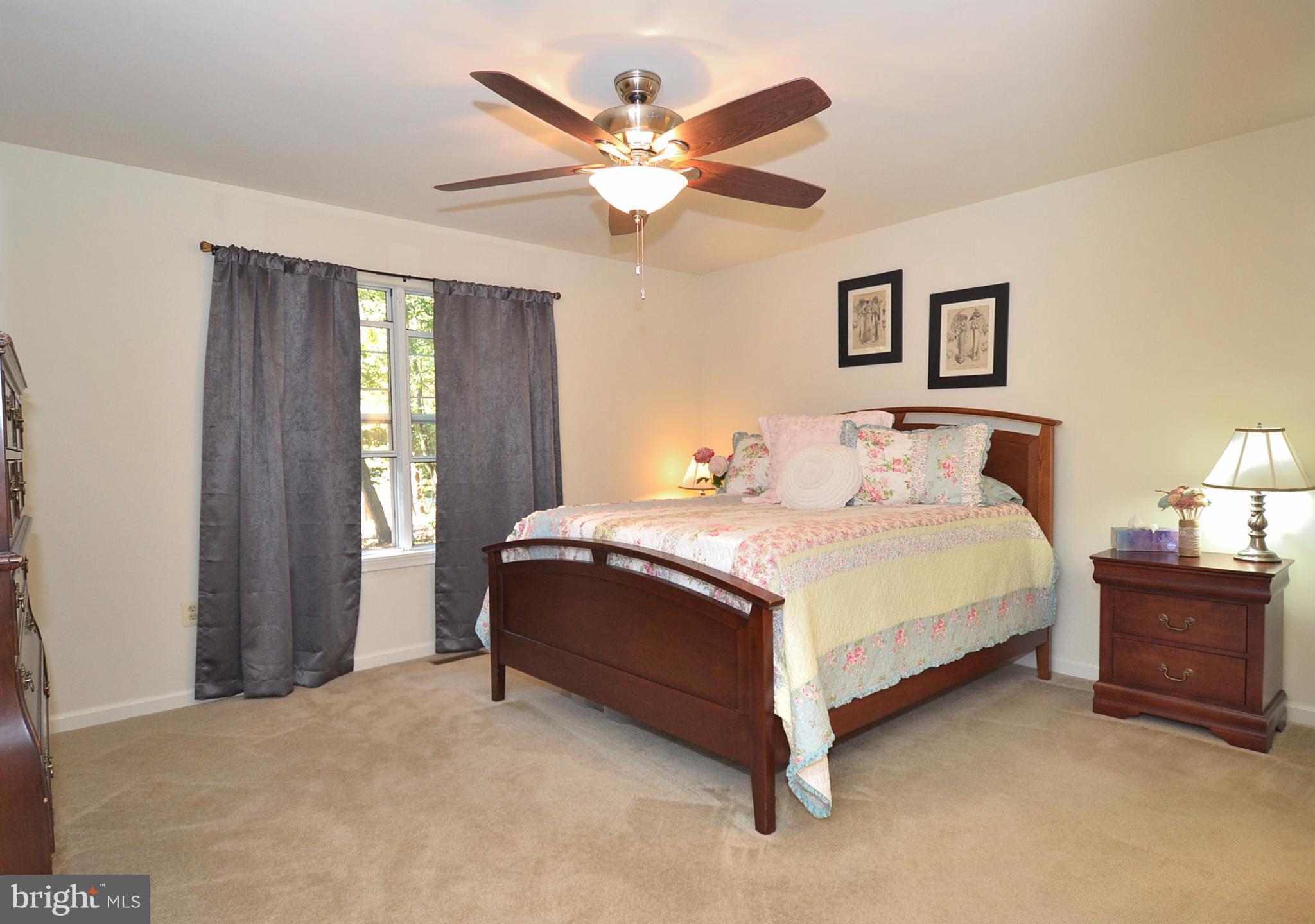 48126 Post Oak Road St. Inigoes, MD 20684 - Photo 8 of 16 Master Bedroom