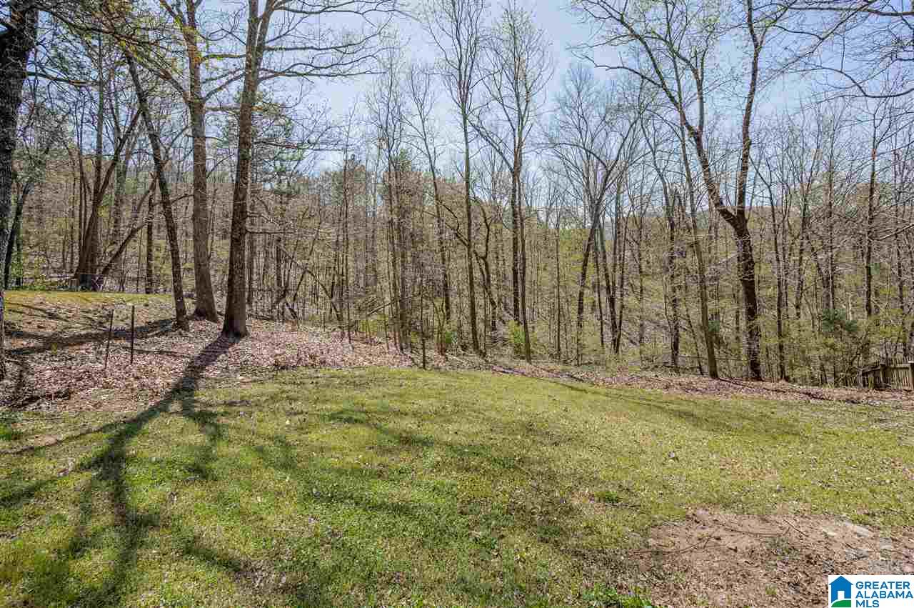 358 Jump Off Farms Road Odenville, AL 35120 - Photo 33 of 42