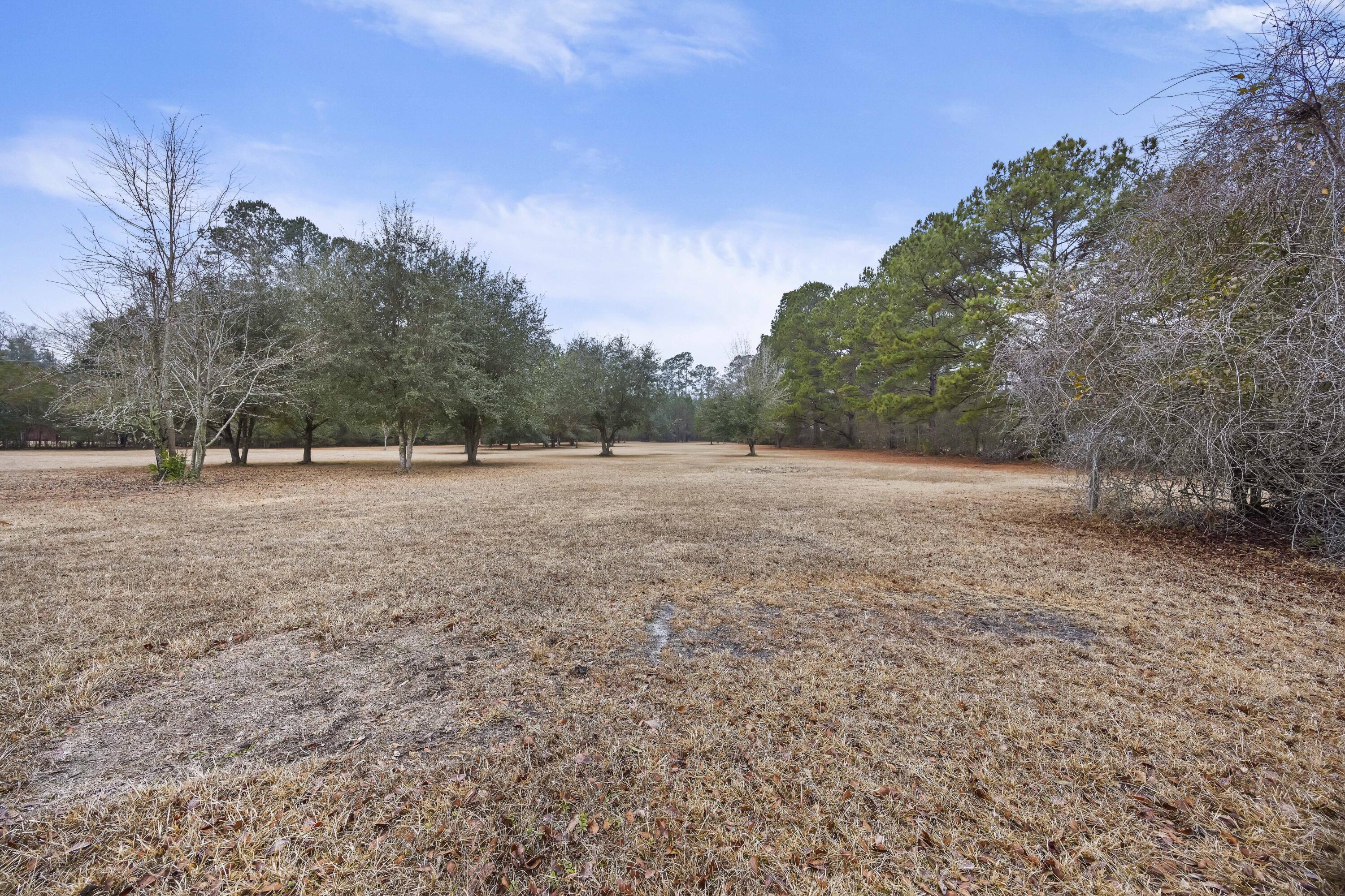 5159 Red Oak Road Cottageville, SC 29435 - Photo 42 of 56 243A7801