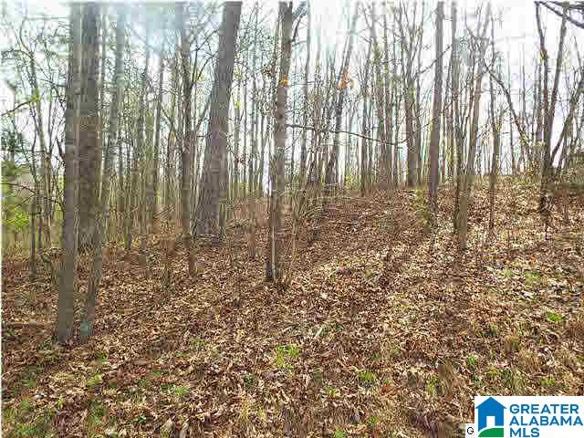 1 Ransome Drive, Unit 1 Oneonta, AL 35121 - Photo 4 of 6