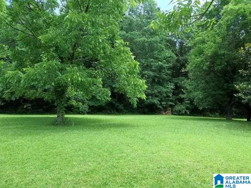 4379 Idaho Road Talladega, AL 35160 - Photo 19 of 26