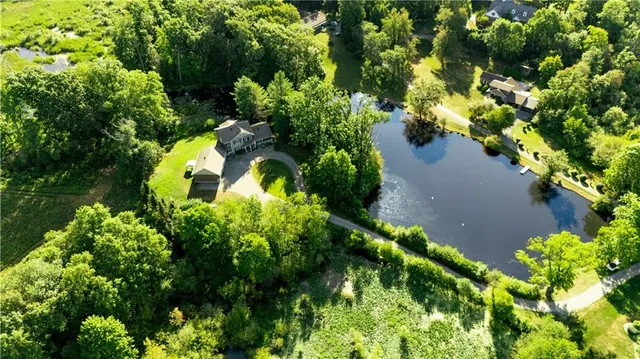 a close up of a flower