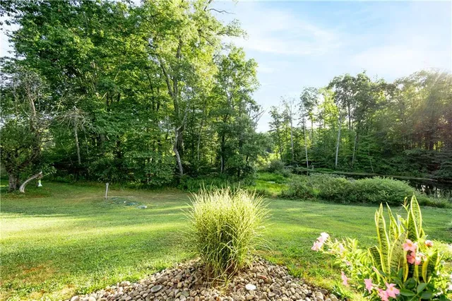 a view of a garden with a lake
