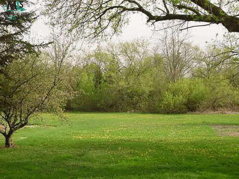 1423 Grace Rochester, MI 48309 - Photo 9 of 9 516599-8.JPG