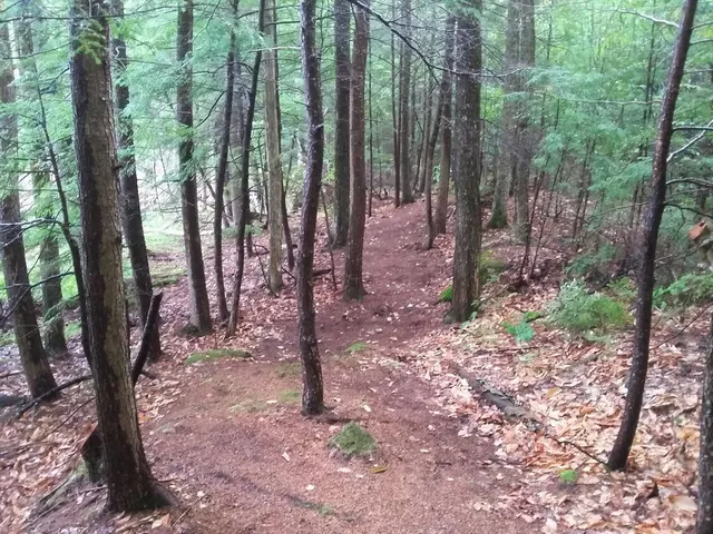 $72,500 | 30 Thurley Road, Unit 16, Ossipee, NH 03814