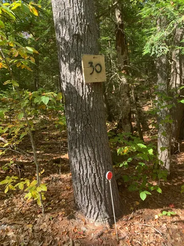 $72,500 | 30 Thurley Road, Unit 16, Ossipee, NH 03814