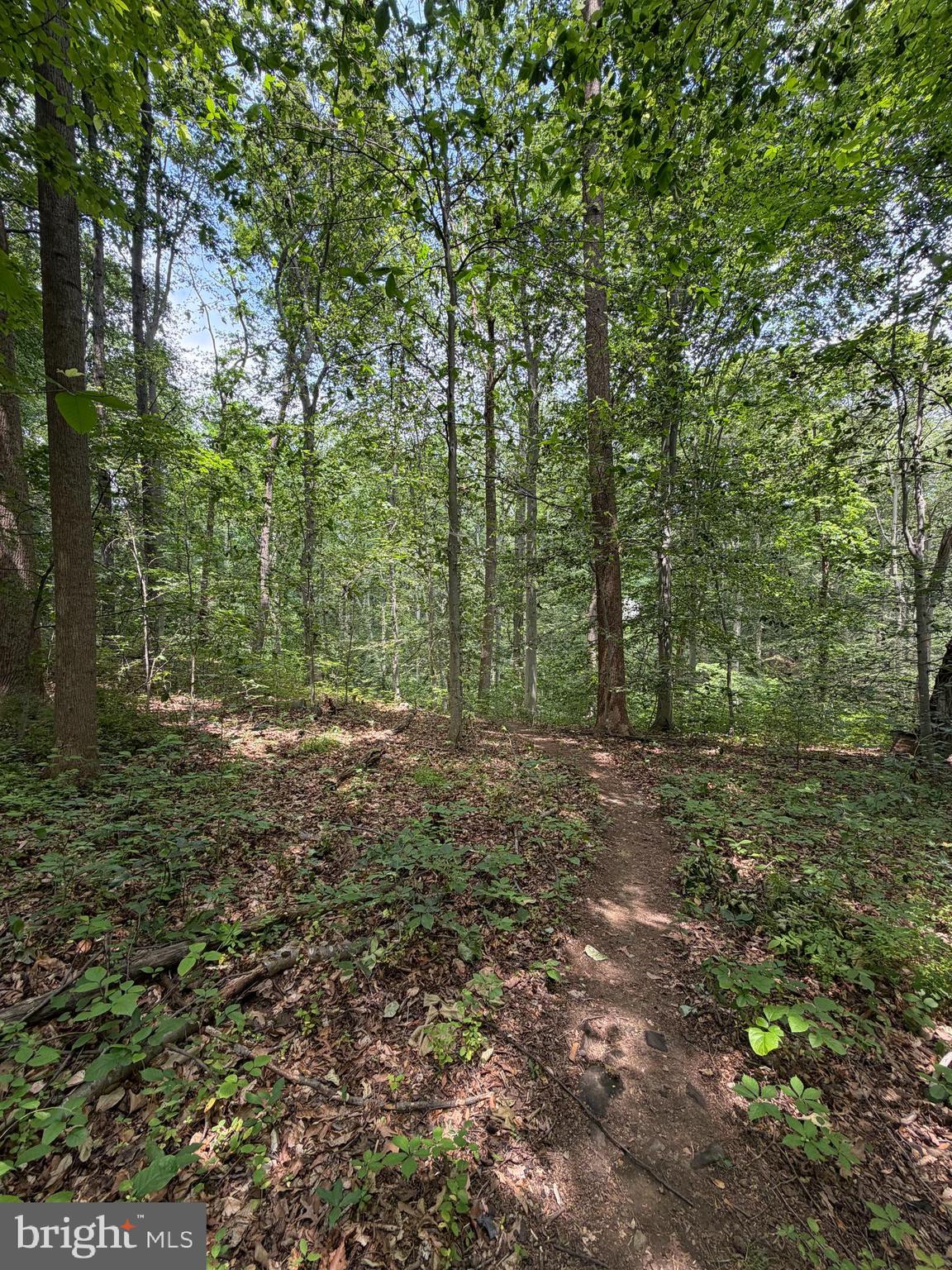 Ragan Road Conowingo, MD 21918 - Photo 3 of 7