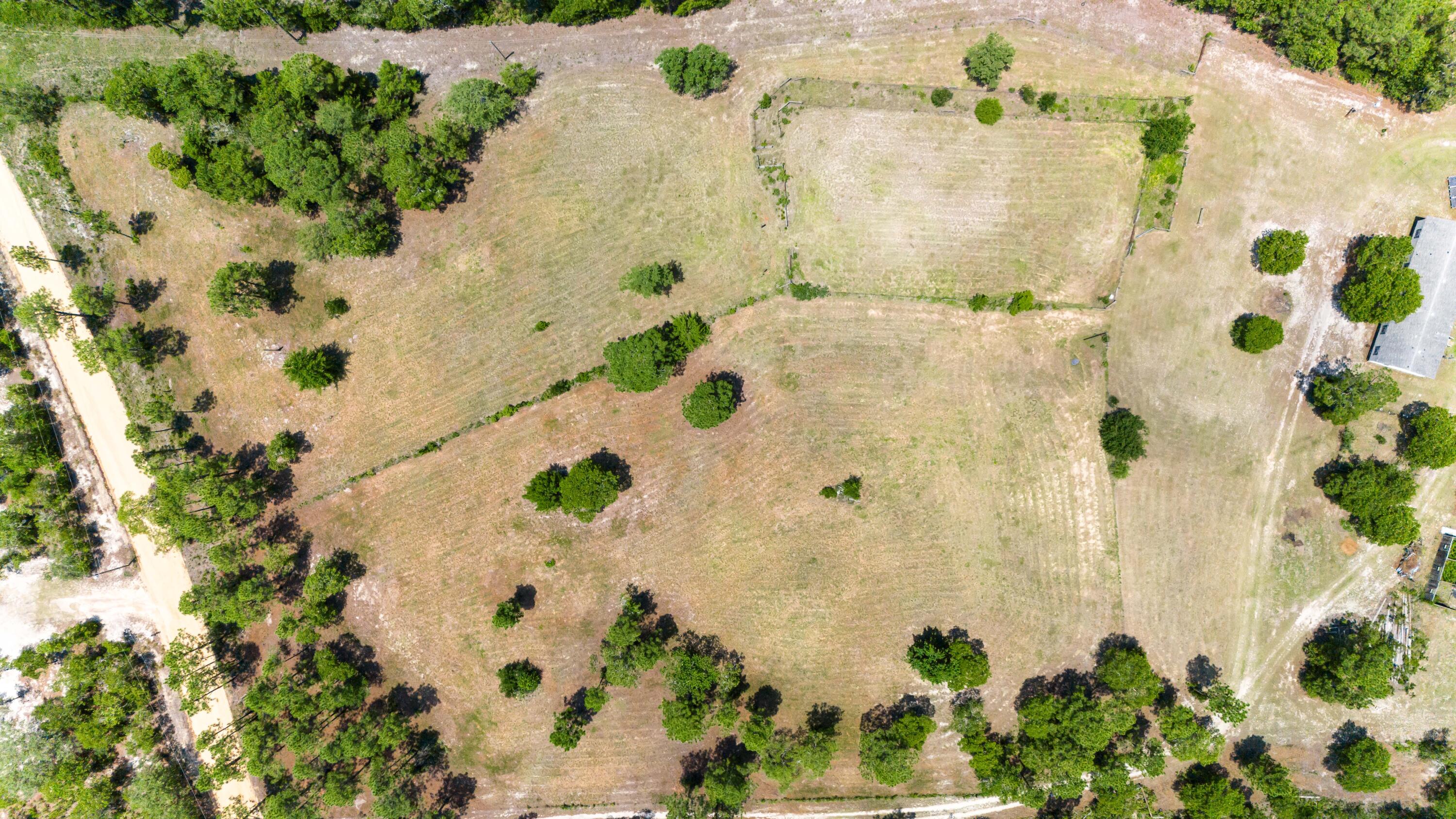 798 Big Branch Road Wagener, SC 29164 - Photo 57 of 63