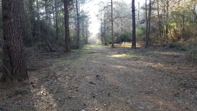 469 Branton Bay Road Tylertown, MS 39667 - Photo 1 of 1 Main View