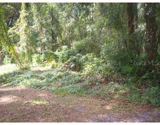Southwest 48th Way Bushnell, FL 33513 - Photo 1 of 1 Land/Lot