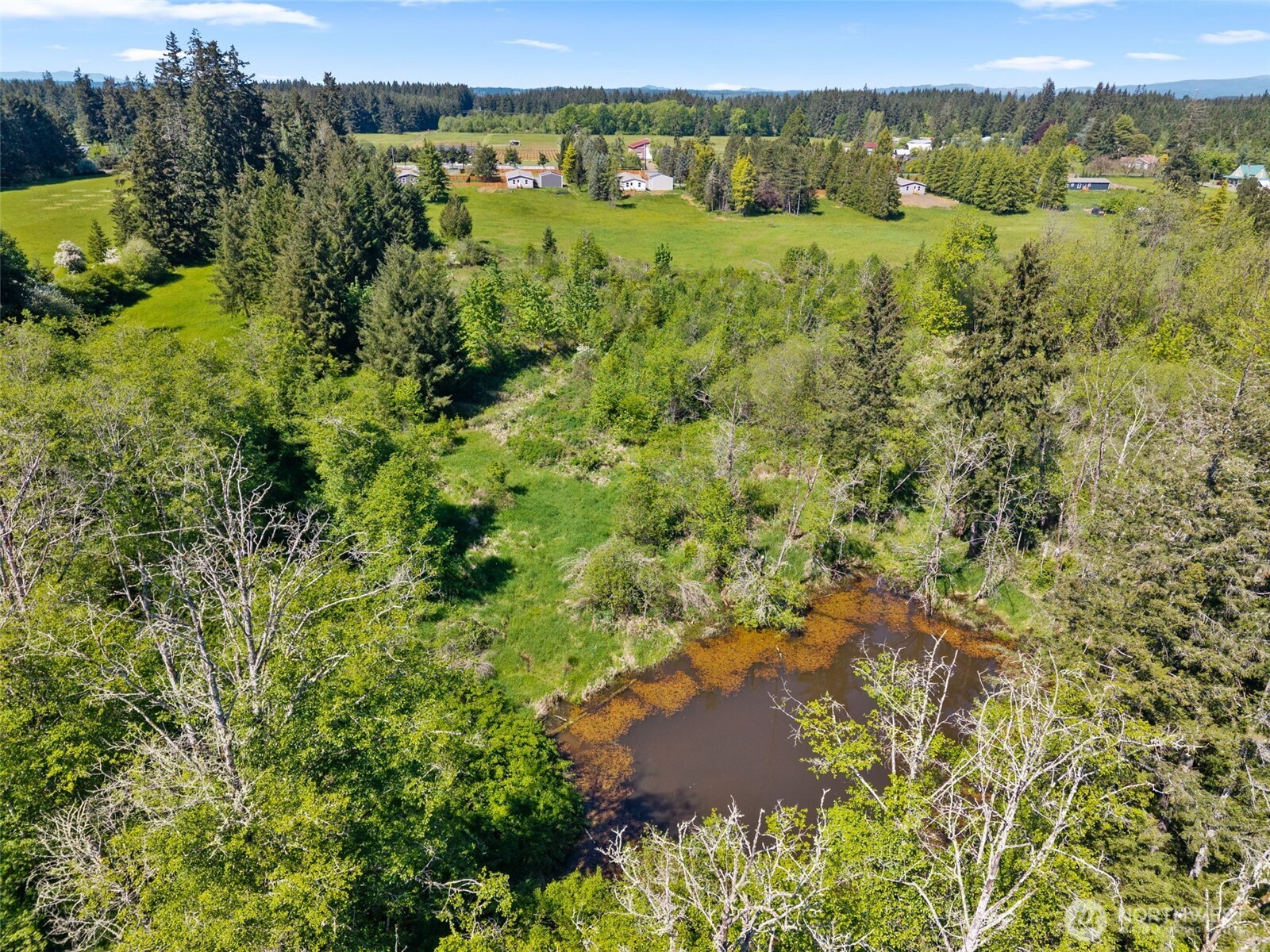 1090 Koontz Road Chehalis, WA 98532 - Photo 35 of 35 a view of a lush green forest with trees and houses