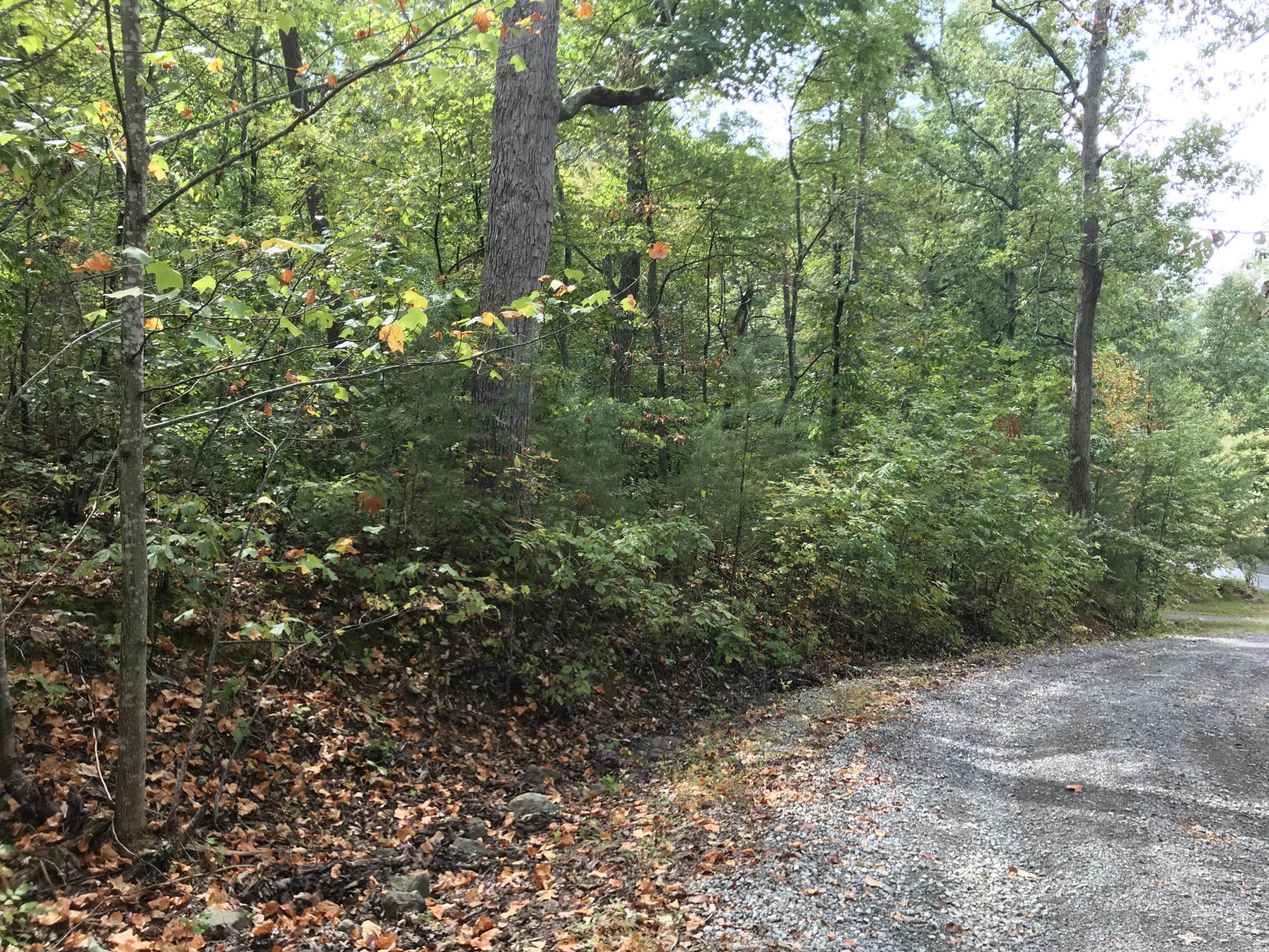 Johnson Road Kodak, TN 37764 - Photo 2 of 6 Vt8qXit6S46zNkTwymUHWQ