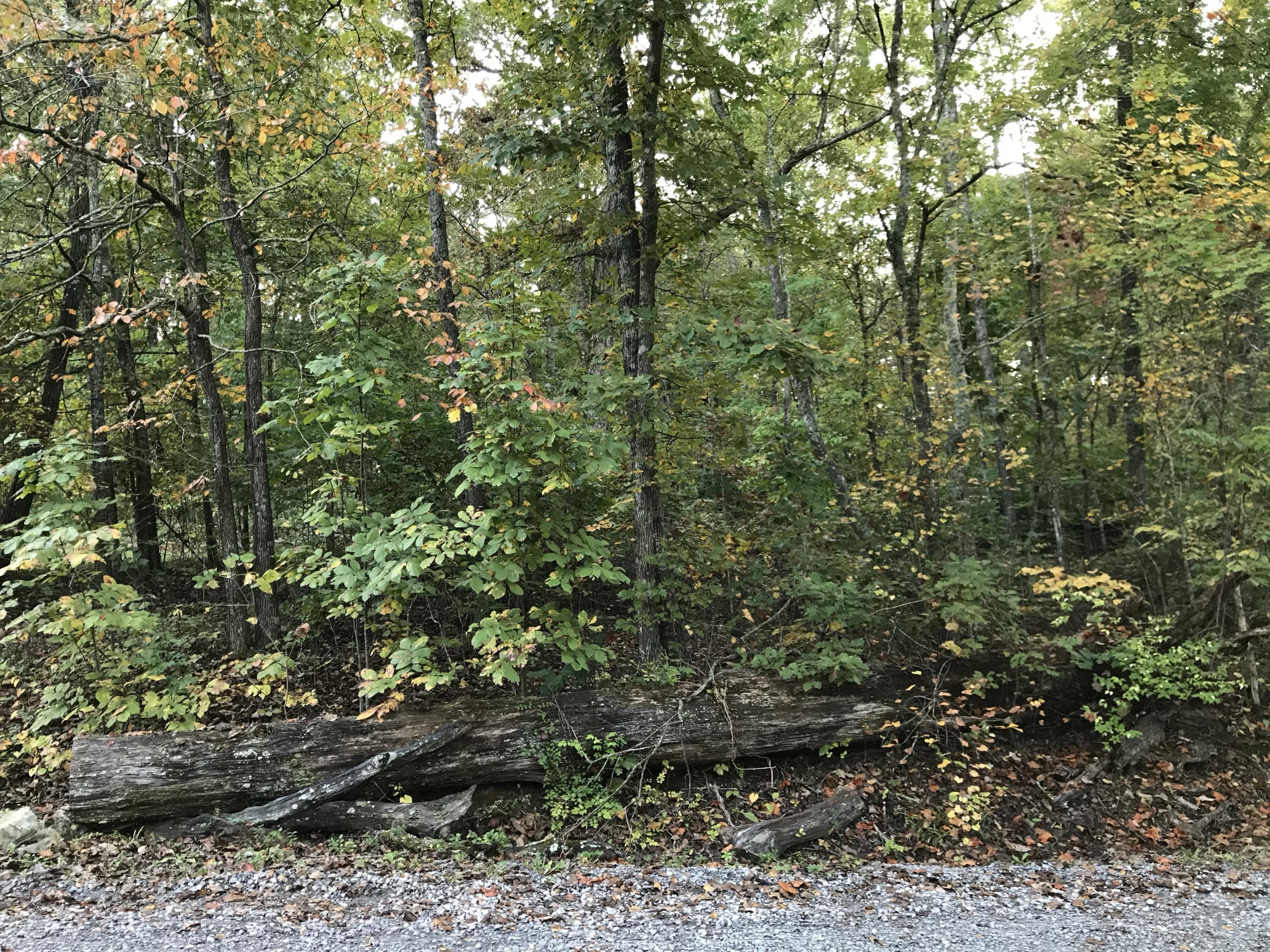 Johnson Road Kodak, TN 37764 - Photo 6 of 6 hVhjNjOQRImFFUSuVeMxZw