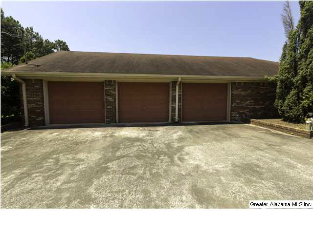 3706 Mt Olive Road Mount Olive, AL 35117 - Photo 3 of 20