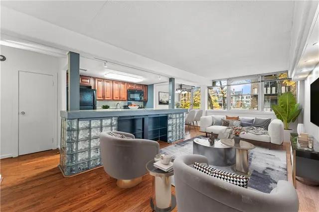 a living room with furniture a rug potted plant and a large window