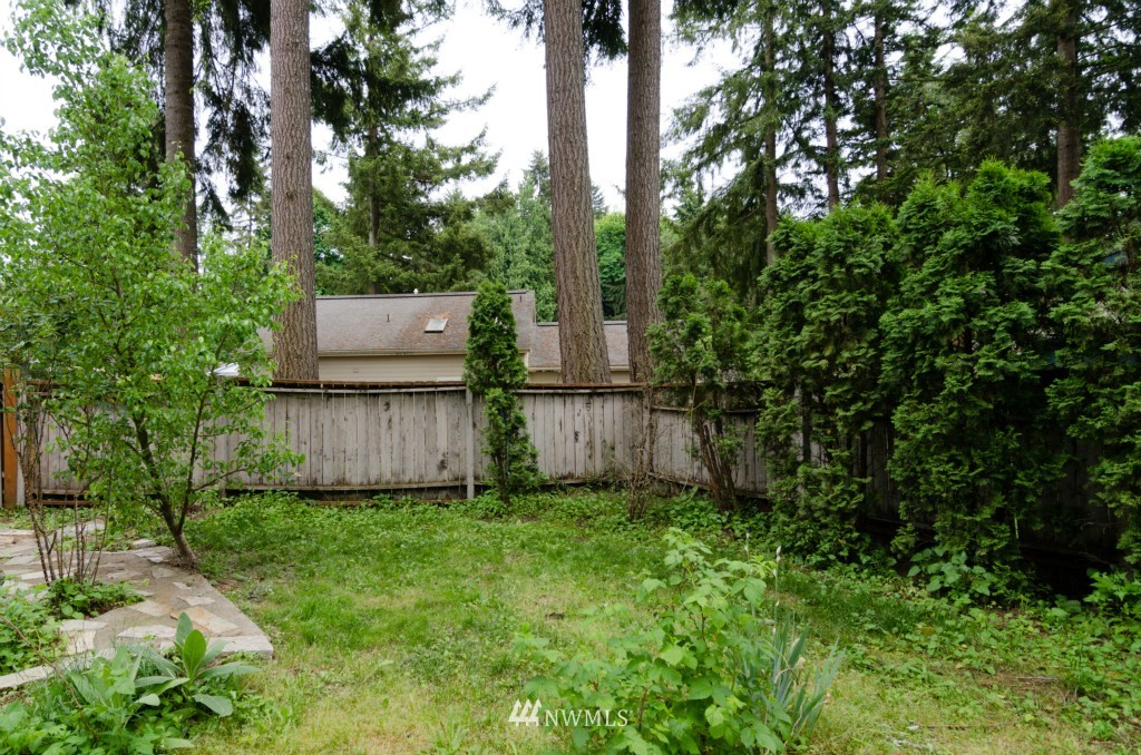 1606 Diamond Loop Southeast Lacey, WA 98503 - Photo 5 of 24 Gallery Image 5