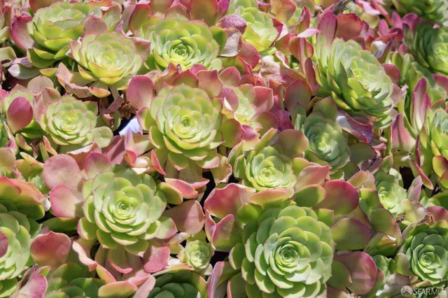 $3,395,000 | 850 Darien Way, San Francisco, CA 94127