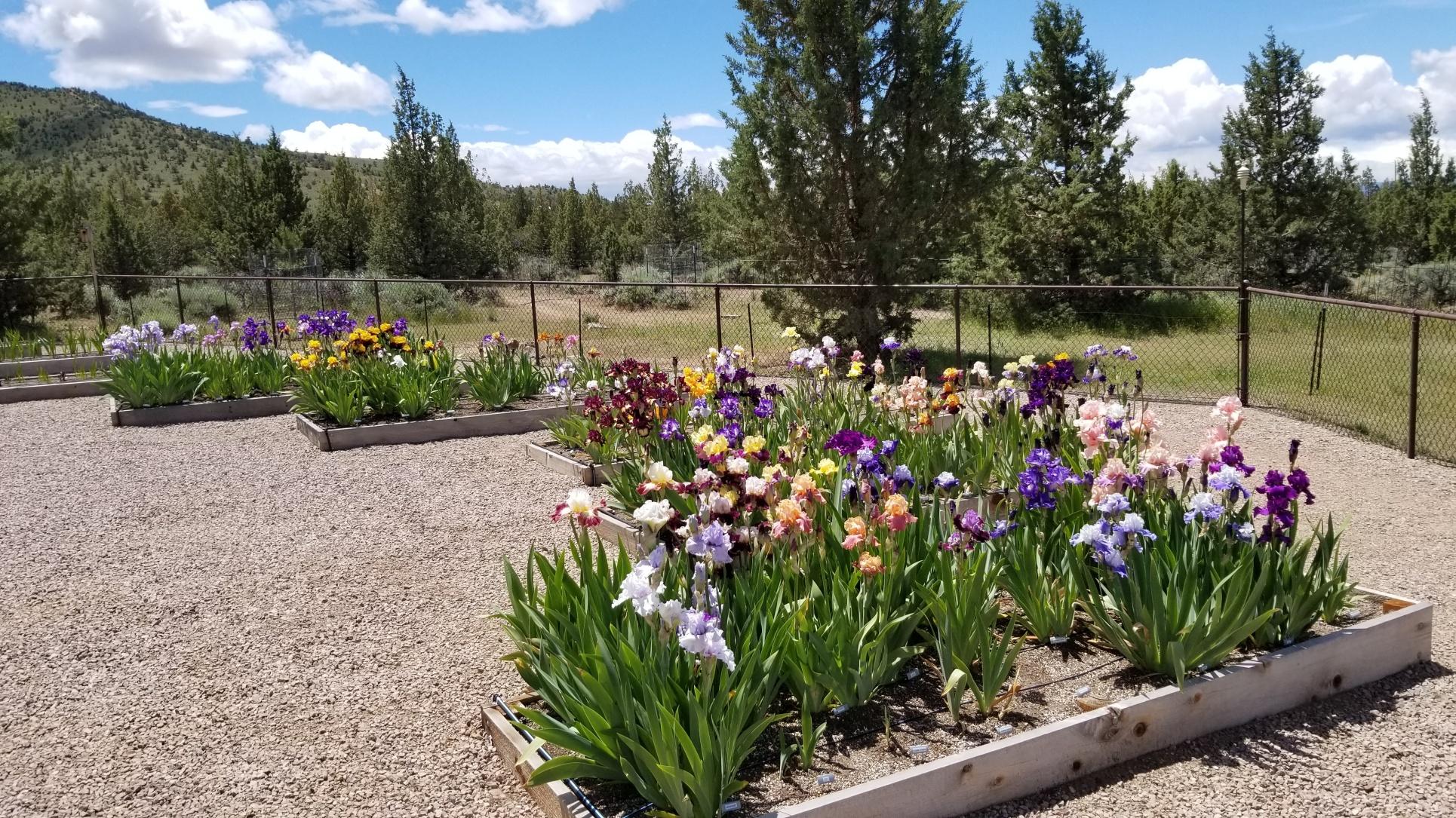 11600 Southwest Reif Road Powell Butte, OR 97753 - Photo 37 of 53 batch_37 20190607_124424